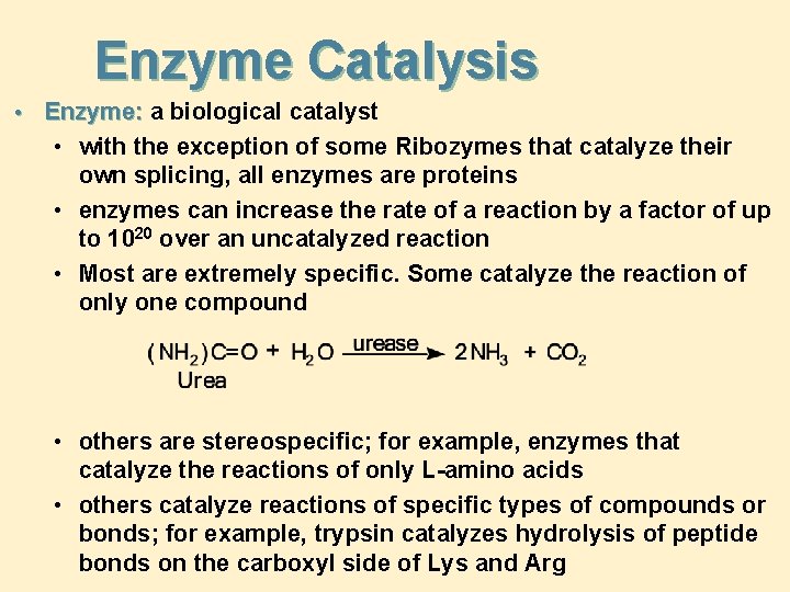 Enzyme Catalysis • Enzyme: a biological catalyst • with the exception of some Ribozymes