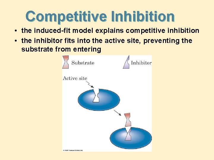Competitive Inhibition • the induced-fit model explains competitive inhibition • the inhibitor fits into