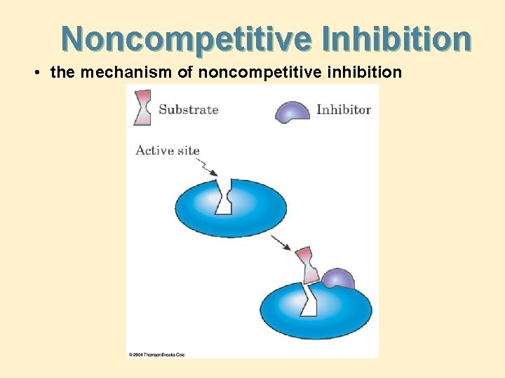 Noncompetitive Inhibition • the mechanism of noncompetitive inhibition 