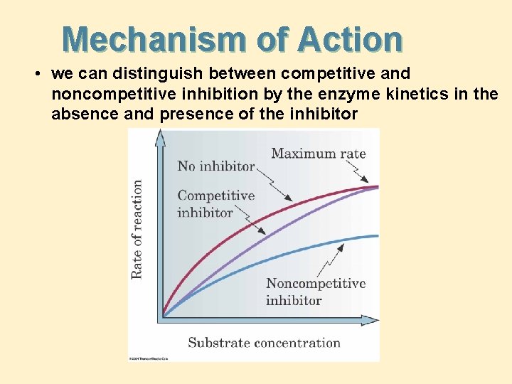 Mechanism of Action • we can distinguish between competitive and noncompetitive inhibition by the