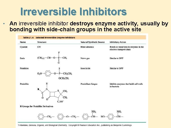 Irreversible Inhibitors • An irreversible inhibitor destroys enzyme activity, usually by bonding with side-chain