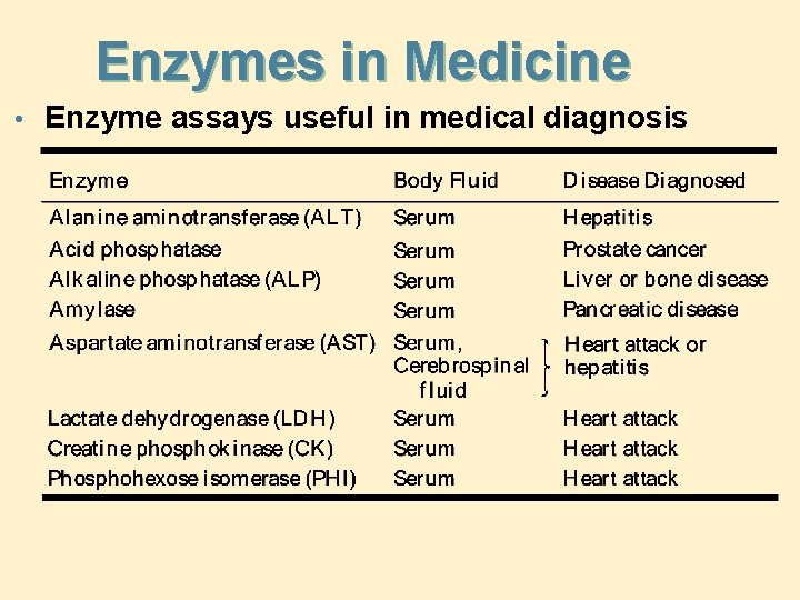 Enzymes in Medicine • Enzyme assays useful in medical diagnosis 