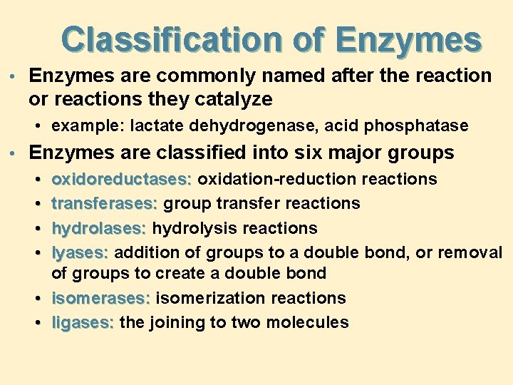 Classification of Enzymes • Enzymes are commonly named after the reaction or reactions they