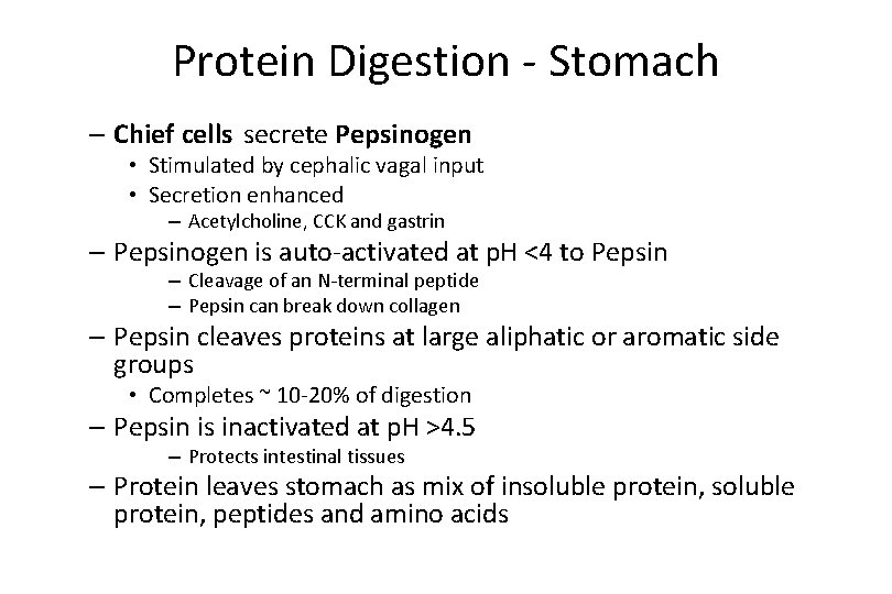 Protein Digestion - Stomach – Chief cells secrete Pepsinogen • Stimulated by cephalic vagal