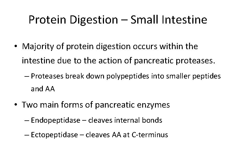 Protein Digestion – Small Intestine • Majority of protein digestion occurs within the intestine