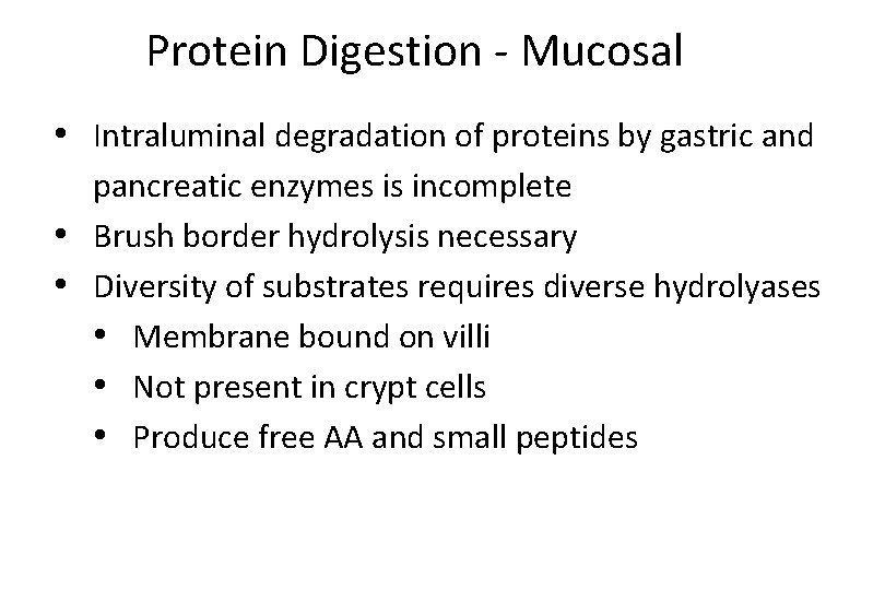 Protein Digestion - Mucosal • Intraluminal degradation of proteins by gastric and pancreatic enzymes