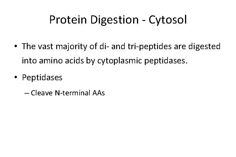 Protein Digestion - Cytosol • The vast majority of di- and tri-peptides are digested