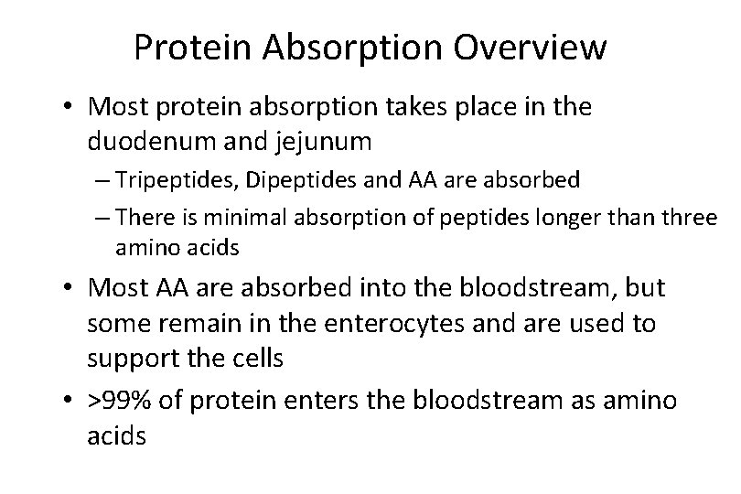 Protein Absorption Overview • Most protein absorption takes place in the duodenum and jejunum