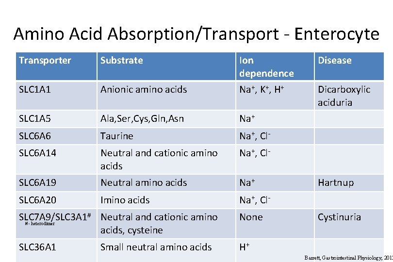 Amino Acid Absorption/Transport - Enterocyte Transporter Substrate Ion dependence Disease SLC 1 A 1