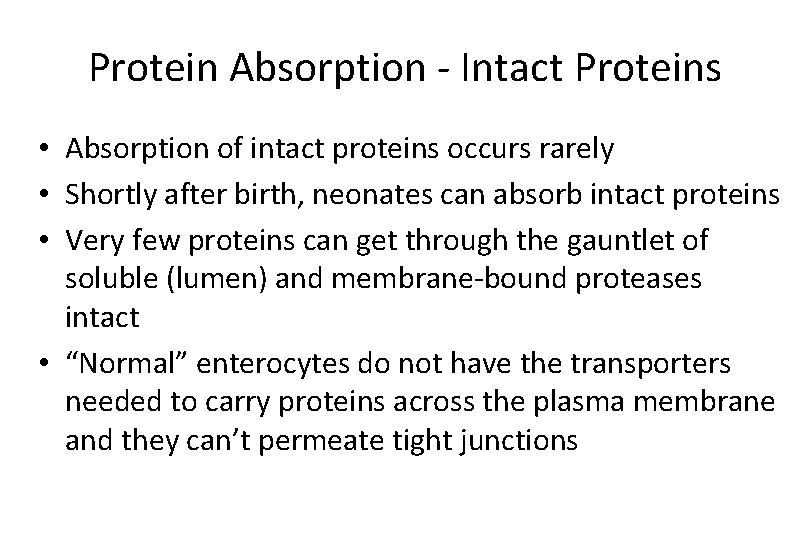Protein Absorption - Intact Proteins • Absorption of intact proteins occurs rarely • Shortly