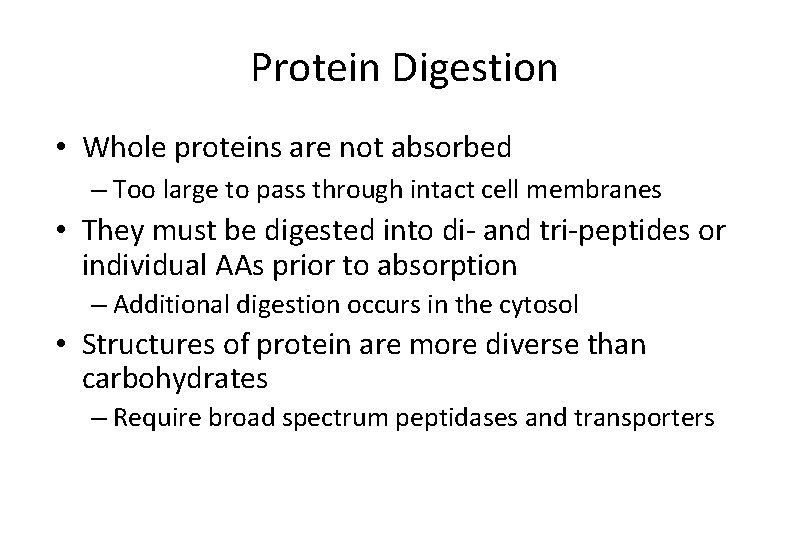 Protein Digestion • Whole proteins are not absorbed – Too large to pass through