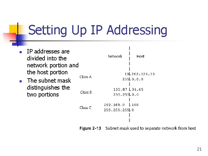 Setting Up IP Addressing n n IP addresses are divided into the network portion
