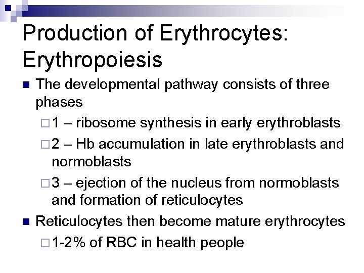 Production of Erythrocytes: Erythropoiesis n n The developmental pathway consists of three phases ¨