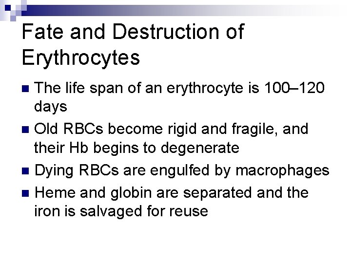 Fate and Destruction of Erythrocytes The life span of an erythrocyte is 100– 120