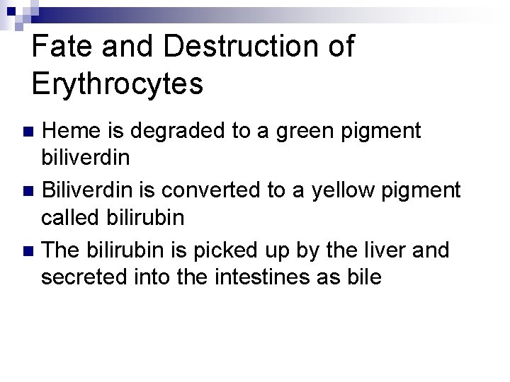 Fate and Destruction of Erythrocytes Heme is degraded to a green pigment biliverdin n