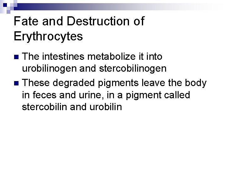 Fate and Destruction of Erythrocytes The intestines metabolize it into urobilinogen and stercobilinogen n