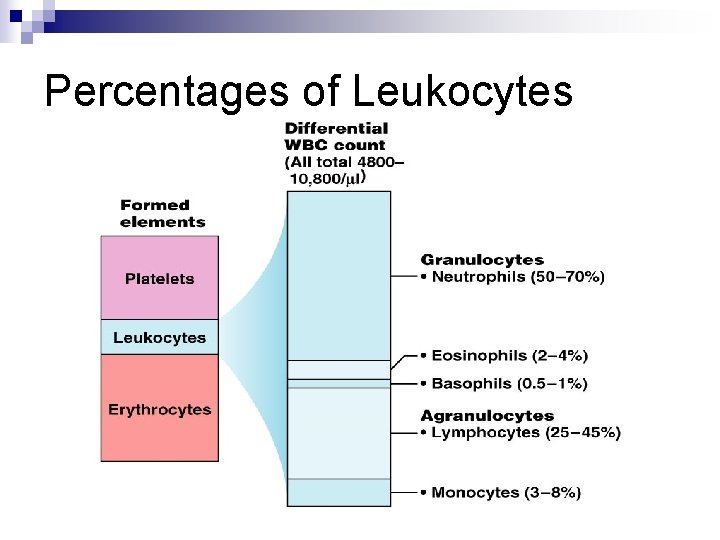 Percentages of Leukocytes 