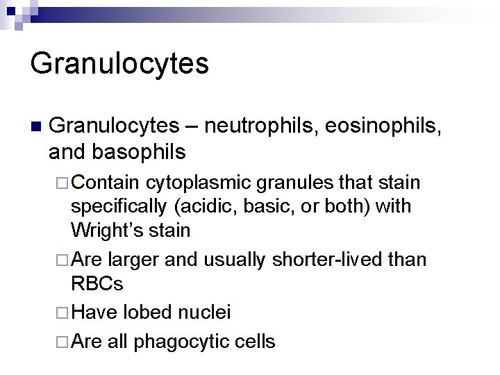 Granulocytes n Granulocytes – neutrophils, eosinophils, and basophils ¨ Contain cytoplasmic granules that stain