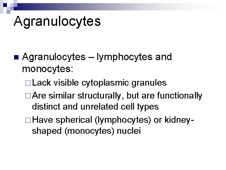 Agranulocytes n Agranulocytes – lymphocytes and monocytes: ¨ Lack visible cytoplasmic granules ¨ Are