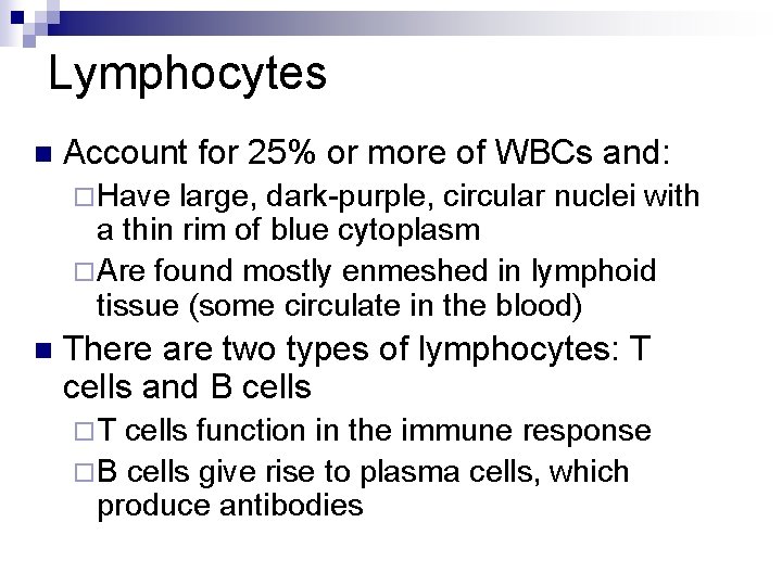 Lymphocytes n Account for 25% or more of WBCs and: ¨ Have large, dark-purple,