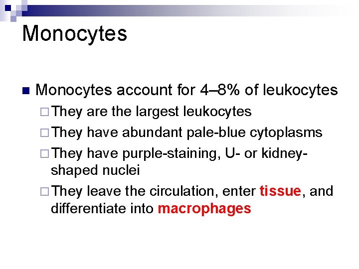 Monocytes n Monocytes account for 4– 8% of leukocytes ¨ They are the largest