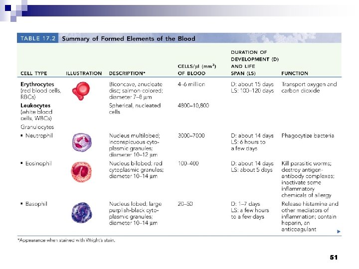 Summary of Formed Elements 51 