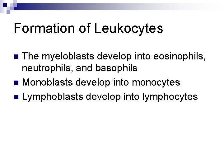 Formation of Leukocytes The myeloblasts develop into eosinophils, neutrophils, and basophils n Monoblasts develop