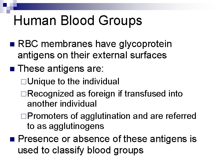 Human Blood Groups RBC membranes have glycoprotein antigens on their external surfaces n These