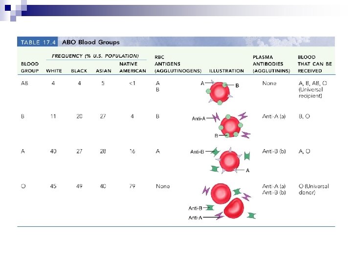 ABO Blood Groups 