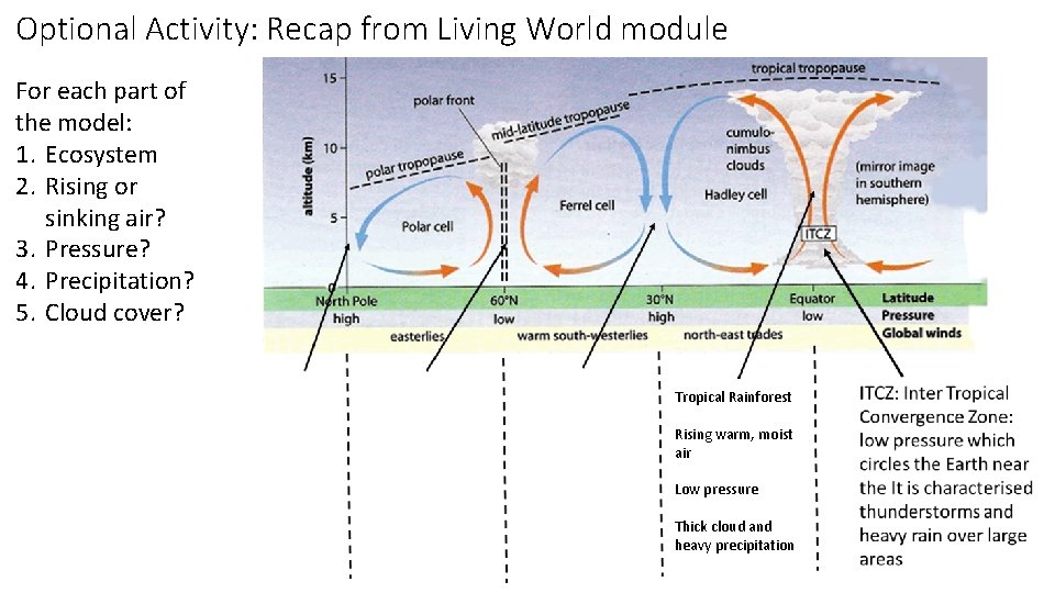 Optional Activity: Recap from Living World module For each part of the model: 1.
