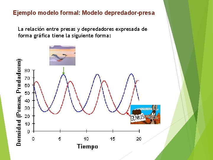 Ejemplo modelo formal: Modelo depredador-presa La relación entre presas y depredadores expresada de forma