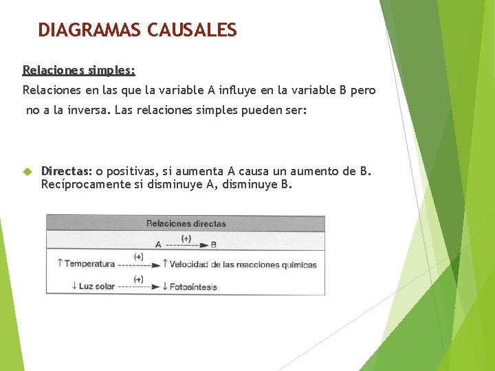 DIAGRAMAS CAUSALES Relaciones simples: Relaciones en las que la variable A influye en la