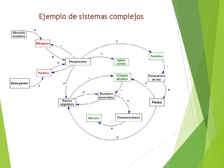 Ejemplo de sistemas complejos 