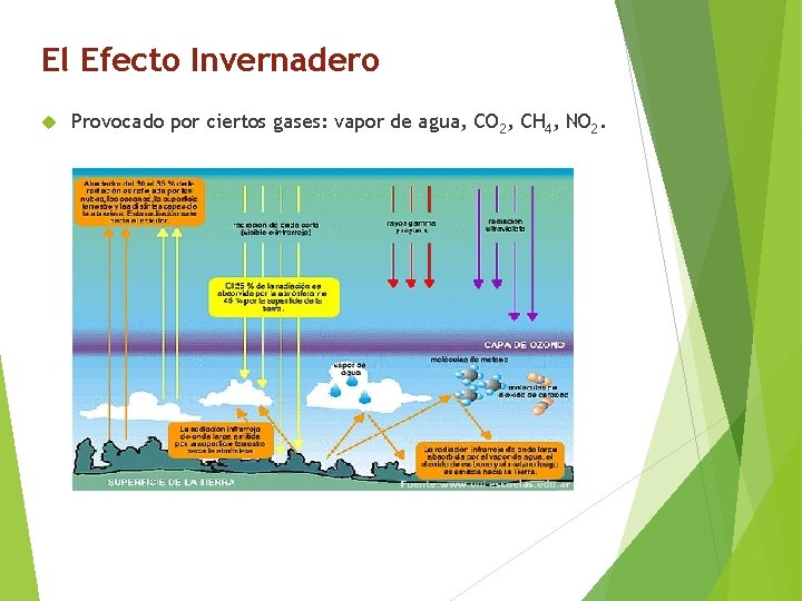 El Efecto Invernadero Provocado por ciertos gases: vapor de agua, CO 2, CH 4,