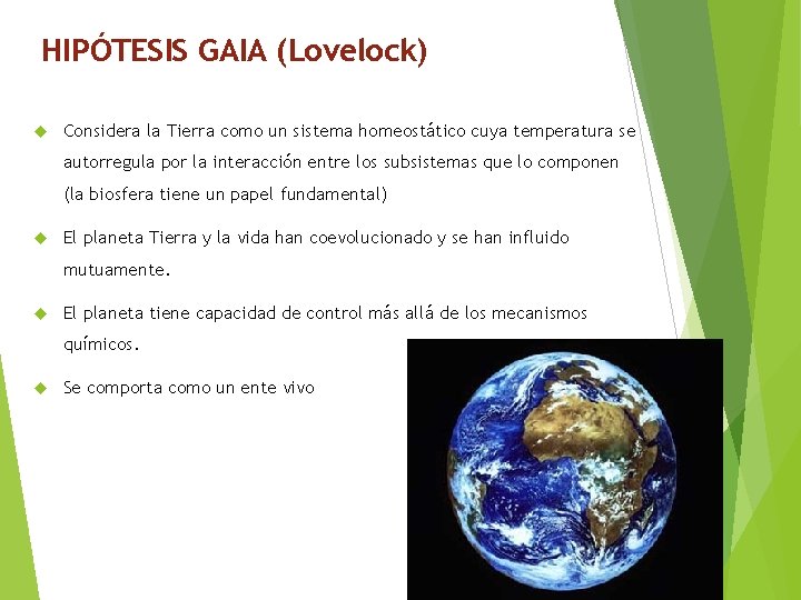 HIPÓTESIS GAIA (Lovelock) Considera la Tierra como un sistema homeostático cuya temperatura se autorregula