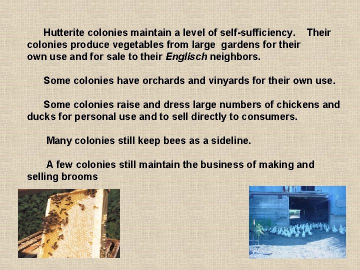 Hutterite colonies maintain a level of self-sufficiency. Their colonies produce vegetables from large gardens