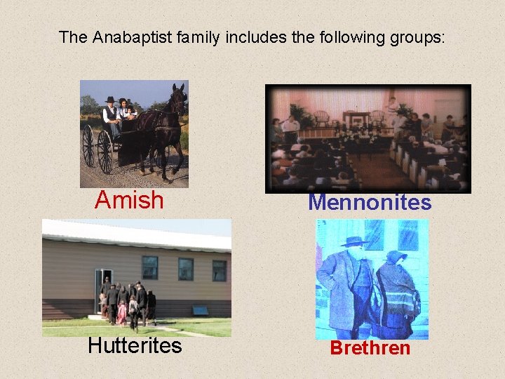 The Anabaptist family includes the following groups: Amish Mennonites Hutterites Brethren 