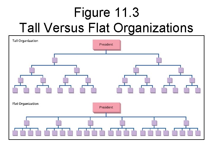 Figure 11. 3 Tall Versus Flat Organizations 