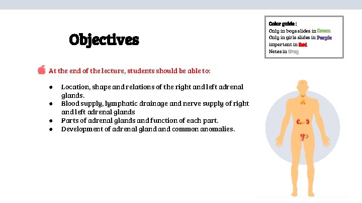 Objectives At the end of the lecture, students should be able to: ● ●