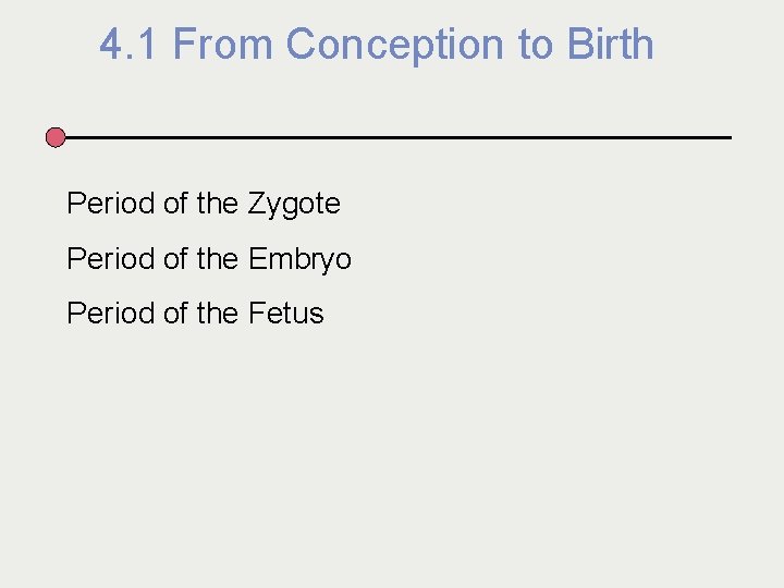 4. 1 From Conception to Birth Period of the Zygote Period of the Embryo