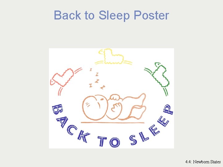 Back to Sleep Poster 4. 4: Newborn States 