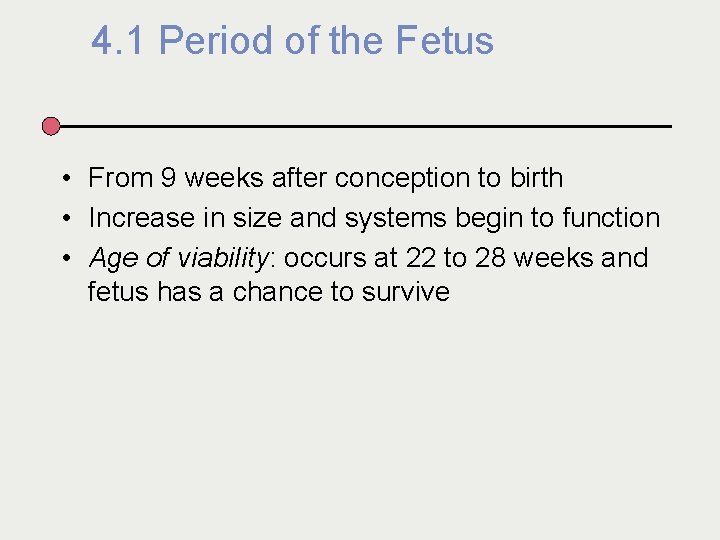4. 1 Period of the Fetus • From 9 weeks after conception to birth