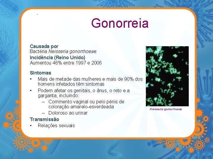 Gonorreia Causada por Bactéria Neisseria gonorrhoeae Incidência (Reino Unido) Aumentou 46% entre 1997 e