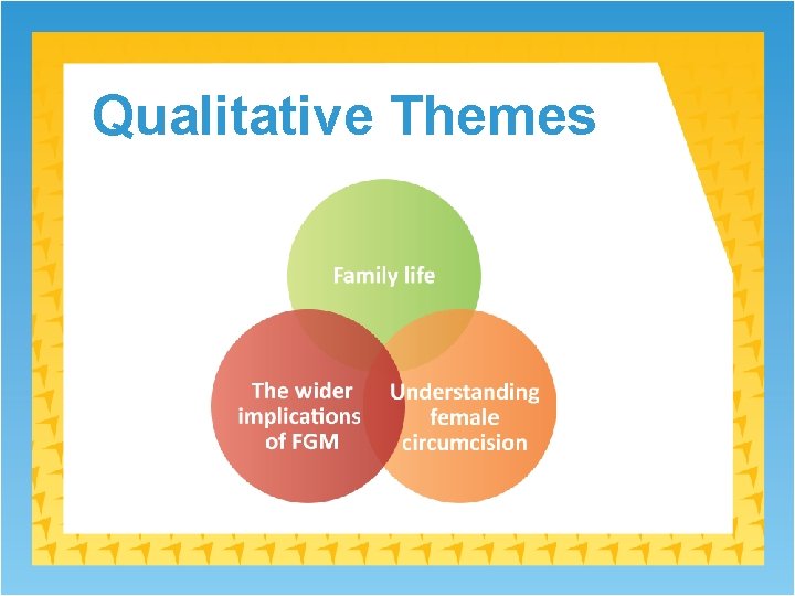 Qualitative Themes 
