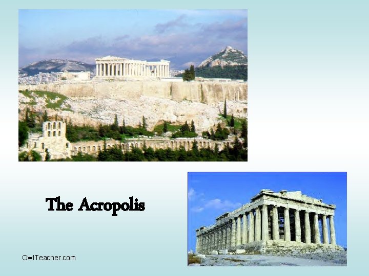 The Acropolis Owl. Teacher. com 