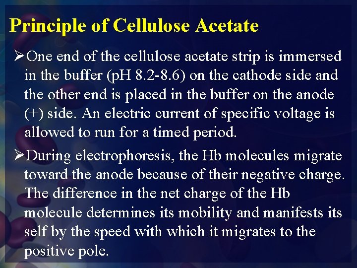 Principle of Cellulose Acetate ØOne end of the cellulose acetate strip is immersed in