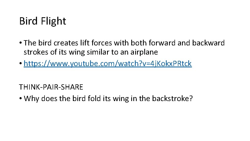 Bird Flight • The bird creates lift forces with both forward and backward strokes