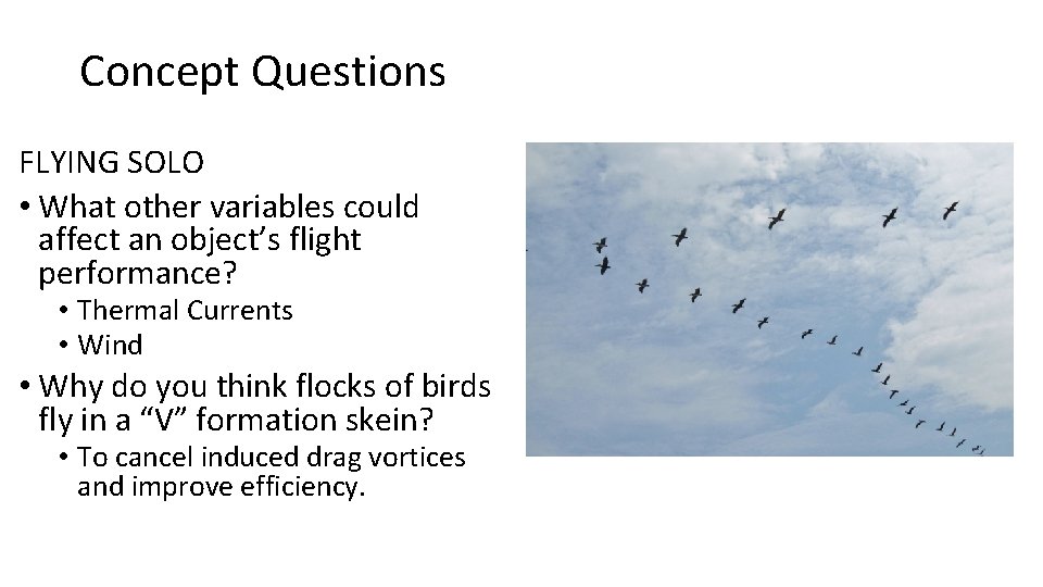 Concept Questions FLYING SOLO • What other variables could affect an object’s flight performance?