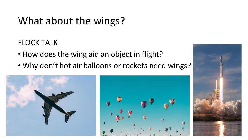 What about the wings? FLOCK TALK • How does the wing aid an object