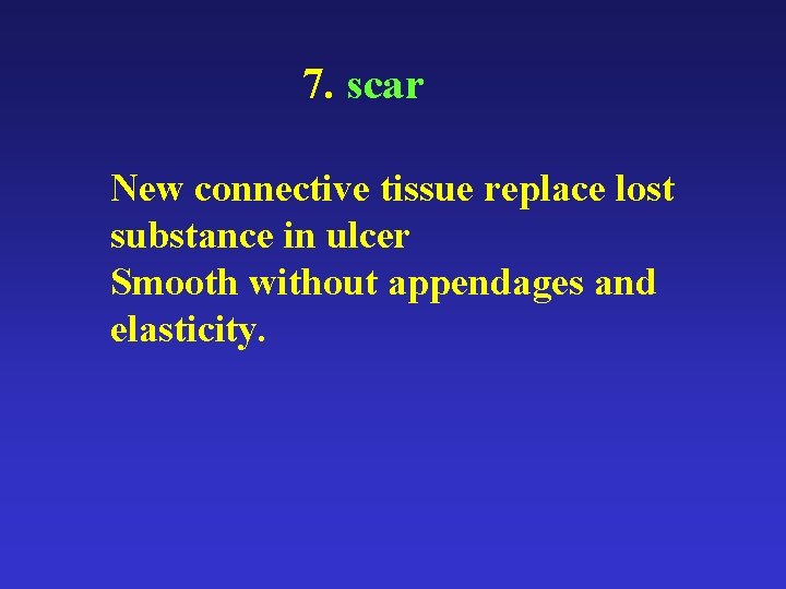7. scar New connective tissue replace lost substance in ulcer Smooth without appendages and 7. scar New connective tissue replace lost substance in ulcer Smooth without appendages and
